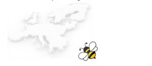 Advancing HHT Knowledge: Highlights from the HHT Based on Evidence European (BEE) Meeting