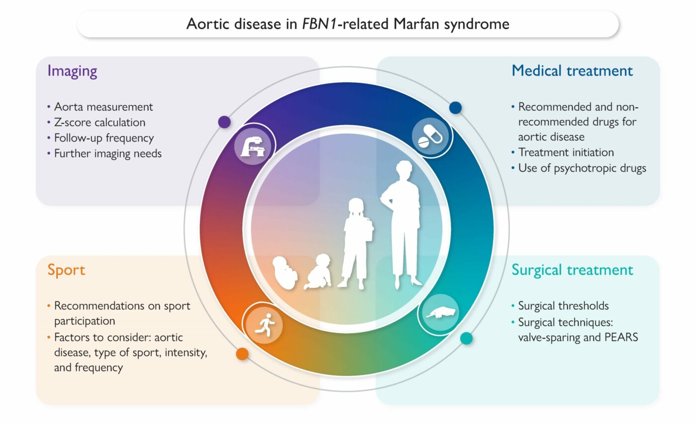 VASCERN Endorses 2024 ESC Guidelines on Peripheral Arterial and Aortic Diseases