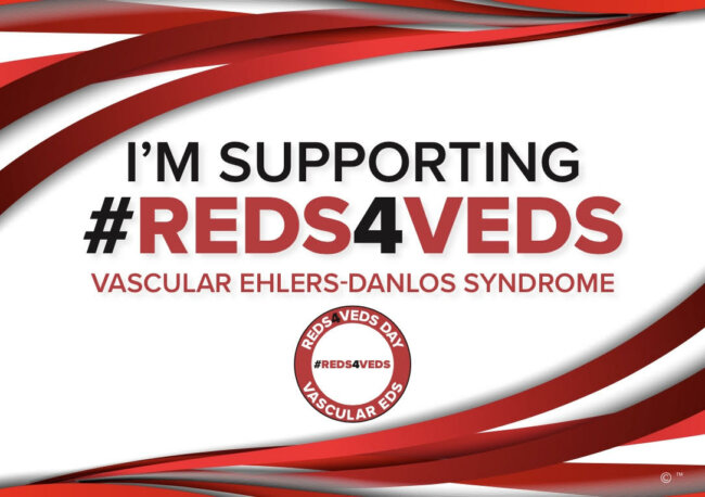 10 Years of REDS4VEDS advocacy