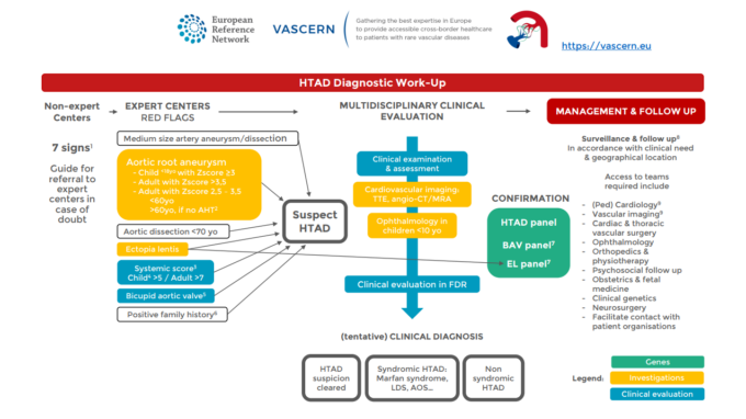 Diagnostic & Management Patient Pathway for Heritable Thoracic Aortic Diseases