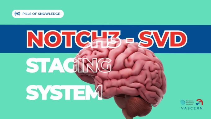 Understanding the NOTCH3-SVD Staging System