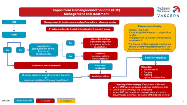 Kaposiform Haemangioendothelioma Diagnostic Pathway